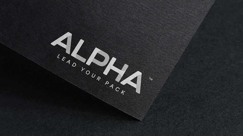 Acme Whistles Alpha Brand Identity