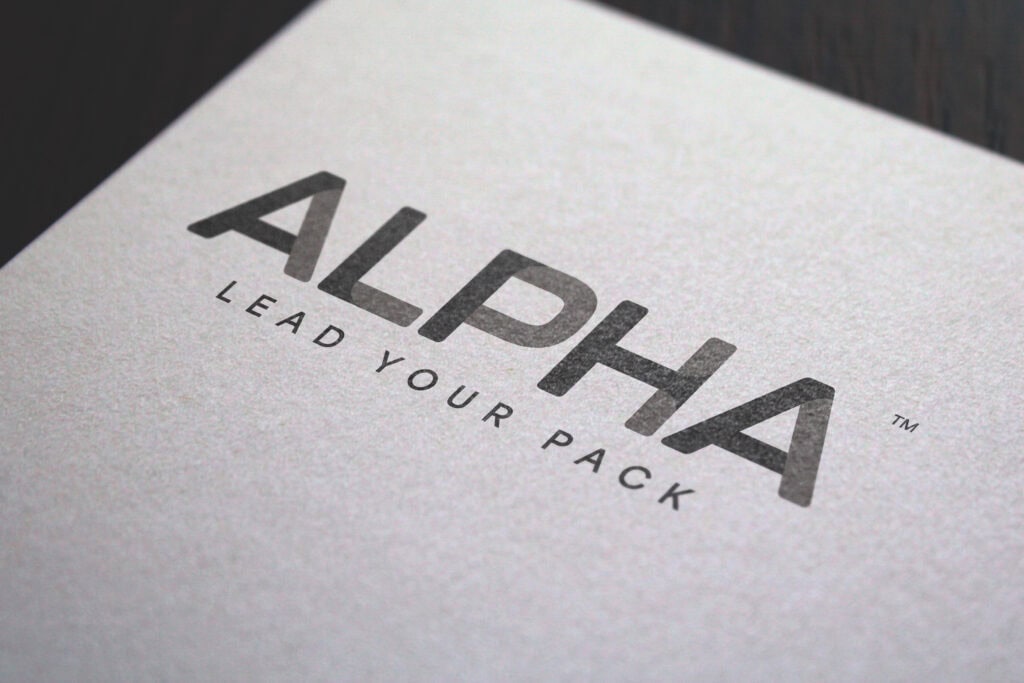 Modern logo design for Acme Whistles, Alpha brand.